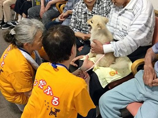 犬と触れ合う人々