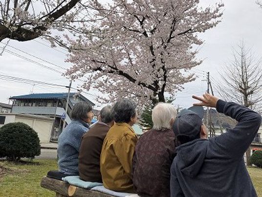 桜の下での団欒
