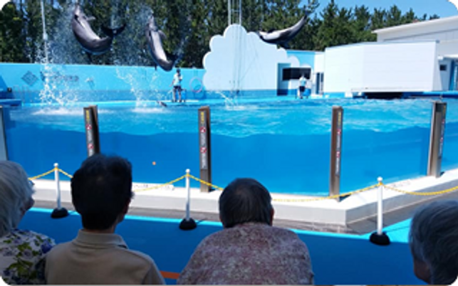 イルカショー観覧エリア