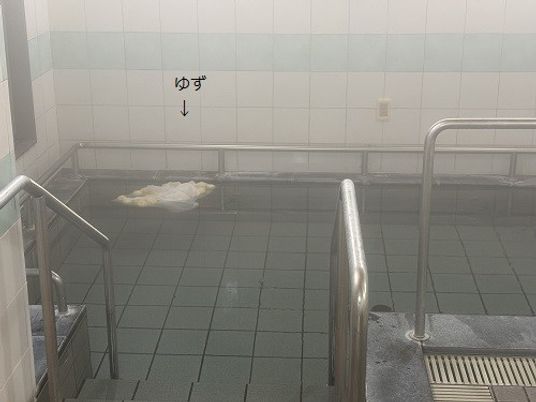 手すり付き浴槽  