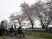 桜の木が見える風景