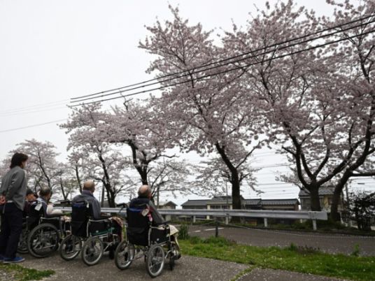 桜の木が見える風景