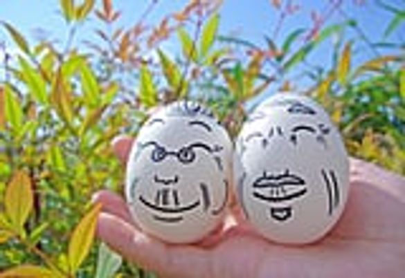 リビングの様子