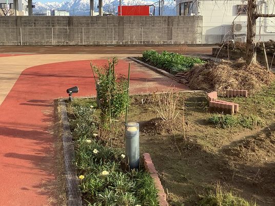 園路と植栽の庭  