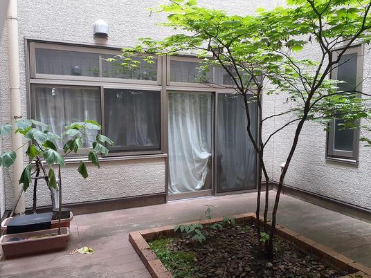 中庭の様子