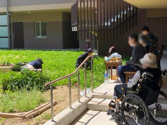 緑豊かな庭の様子