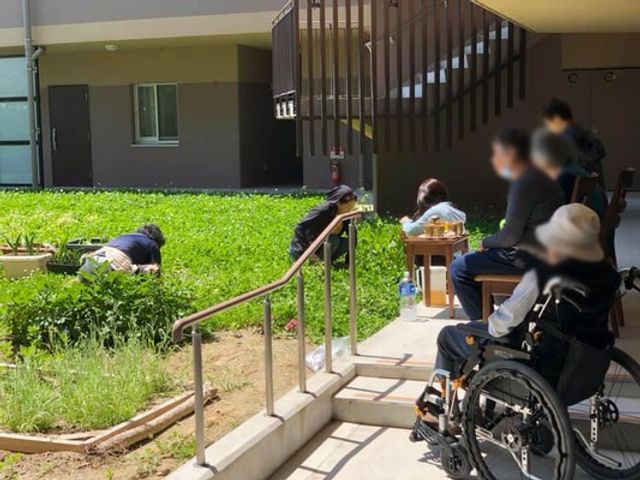 緑豊かな庭の様子 中庭 陽光の下、多くの方々がリラックスできる中庭です。車椅子の方もアクセス可能な設計です。