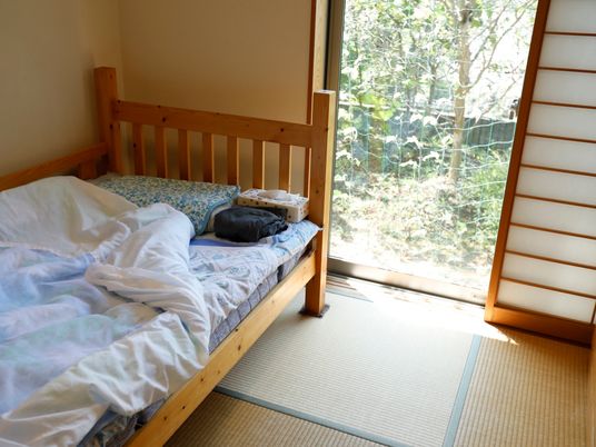 明るい和室の居室