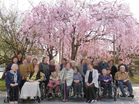 桜の木の下の集合写真