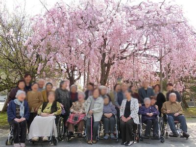 桜の木の下の集合写真