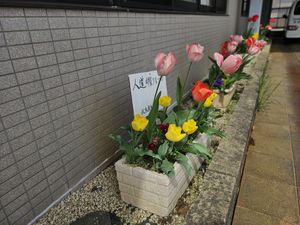 花壇のある通路  