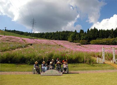 花畑と車椅子の利用者