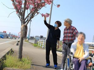 花を眺める様子の外観