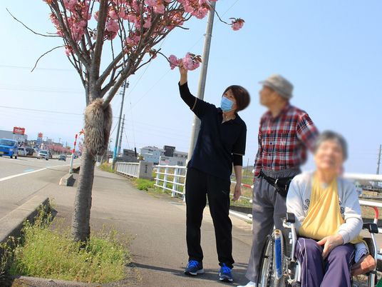 花を眺める様子の外観