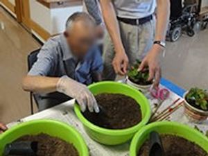 植え替えを行う様子