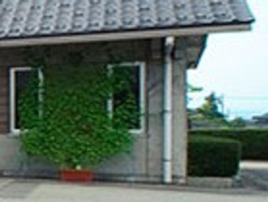 緑豊かな外観