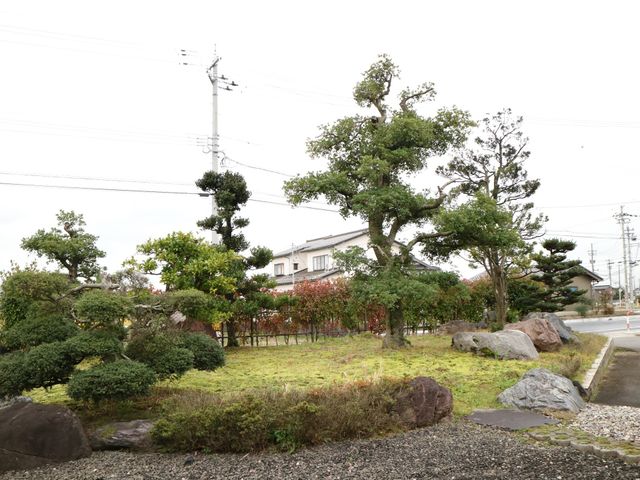 和風の落ち着いた庭園 外庭 手入れが行き届いた和風の中庭は、四季を感じながらゆったりと散策できる環境を提供しています。