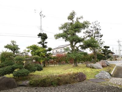 和風の落ち着いた庭園