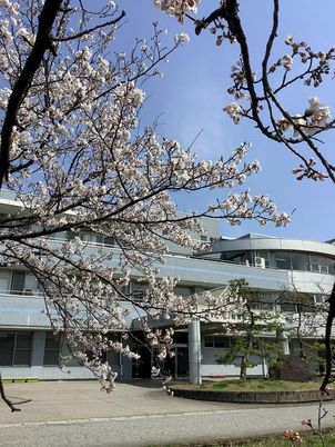 桜が咲く庭の外観