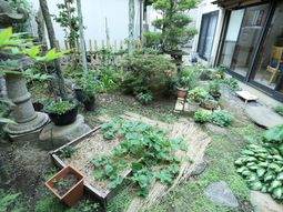 中庭の緑豊かな風景