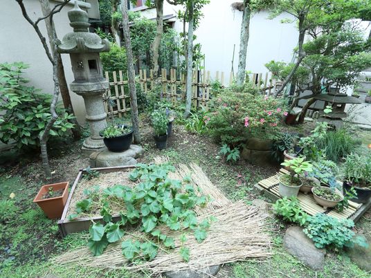 和風庭園の一角