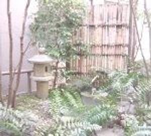 静かな庭の風景