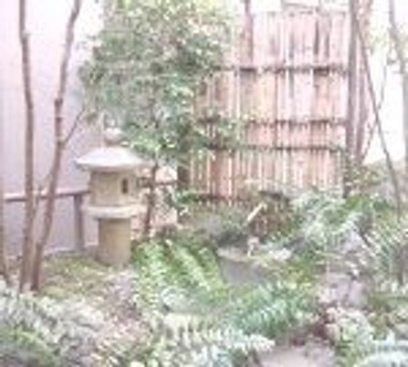 静かな庭の風景