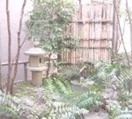 静かな庭の風景