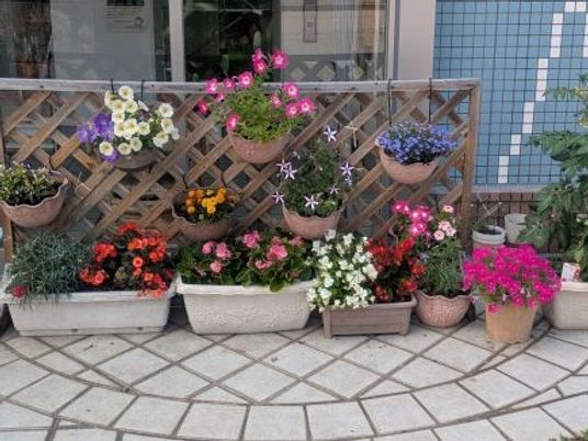 花で彩る中庭  