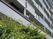 建物外観と植栽の様子  
