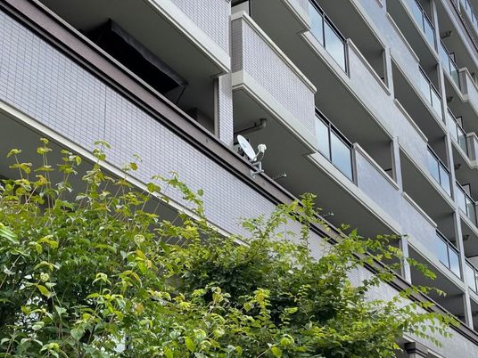 建物外観と植栽の様子  