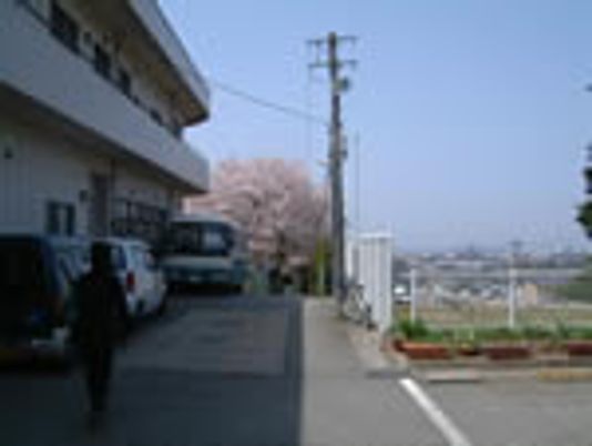 桜並木と敷地外観