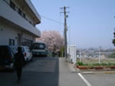 桜並木と敷地外観