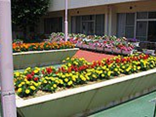 花が咲く庭 中庭 色とりどりの花が咲き誇る庭園です。自然を感じながらリラックスできる空間です。