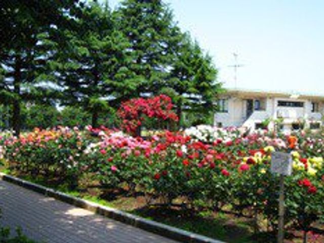 色とりどりの花が咲く庭 庭 季節ごとに咲き誇る色鮮やかな花々が、心を癒やしてくれる場所です。リラックスした時間を過ごせます。