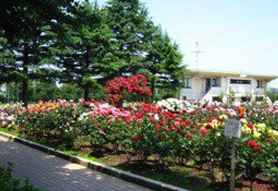 色とりどりの花が咲く庭