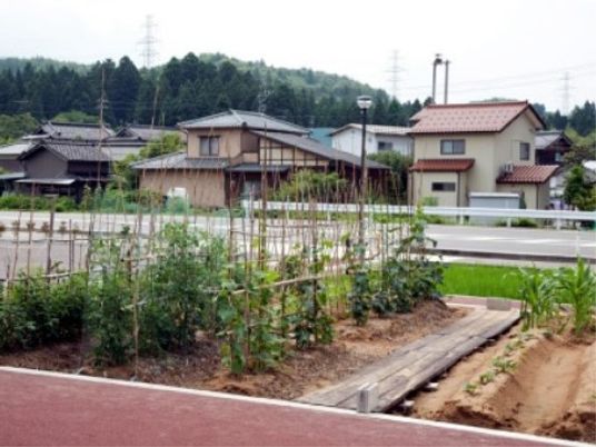 緑豊かな中庭