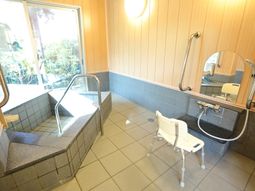 明るい浴室の手すりと椅子