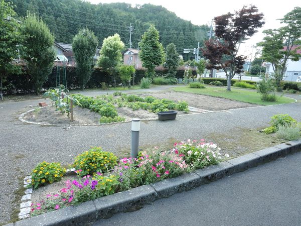 緑豊かな中庭風景