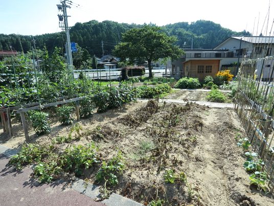 緑豊かな中庭風景