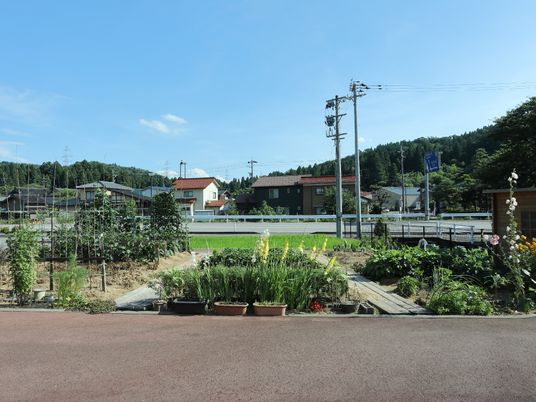 緑豊かな庭園の情景