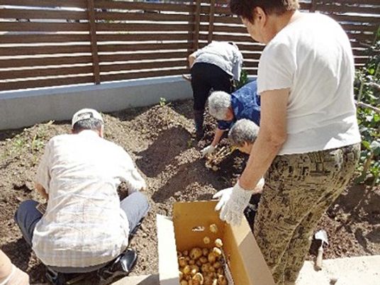 野菜の収穫作業をする庭