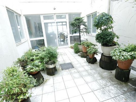 植物が飾られた明るい中庭