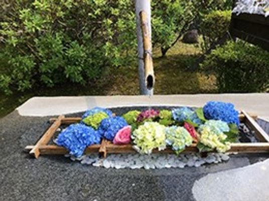 花壇のある庭  