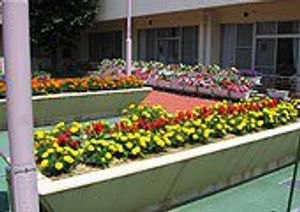 色鮮やかな花壇の中庭  