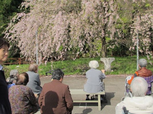 花見を楽しむ人々の庭