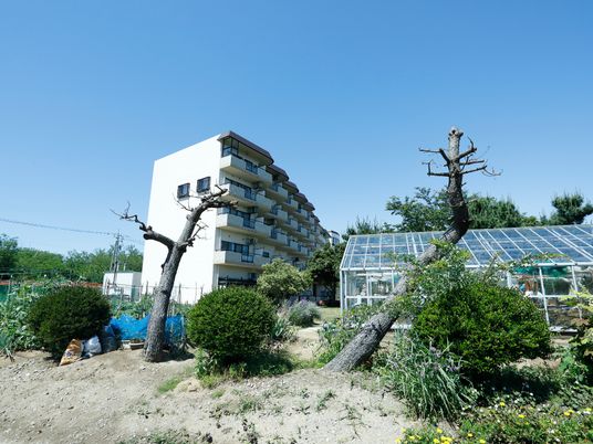 緑豊かな庭のある建物
