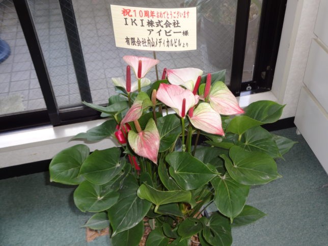 アイビー 訪問看護 ステーションの外観