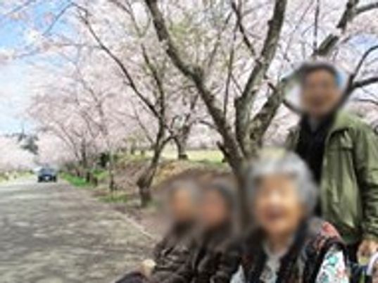 桜並木の活動中