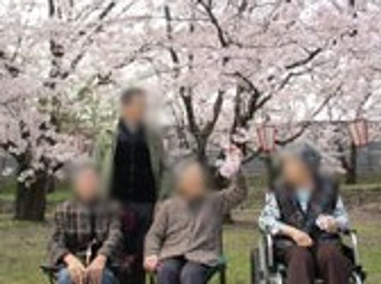車椅子の利用者と桜
